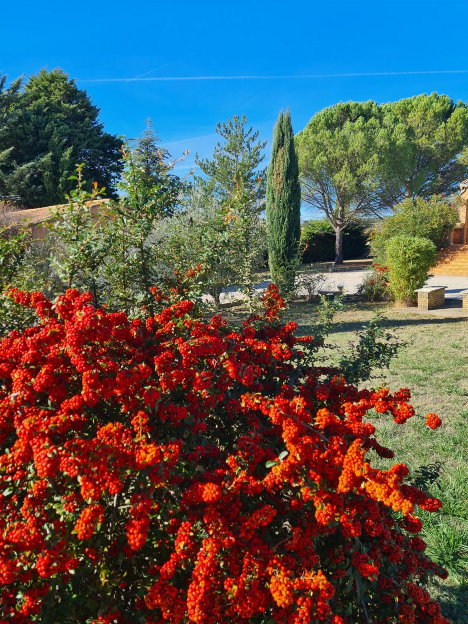 Family First Villa Gargas  Bagian luar foto